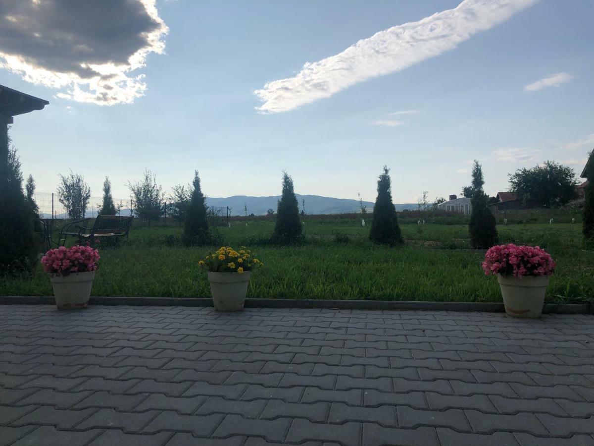 Absolut Residence Haţeg 外观 照片